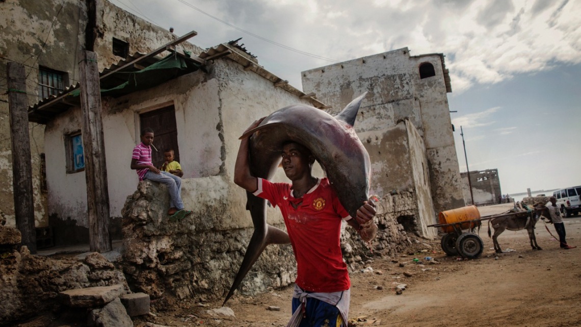 GUM_20151024_contrasto_012