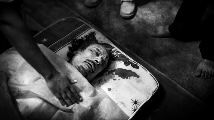 © Fabio Bucciarelli