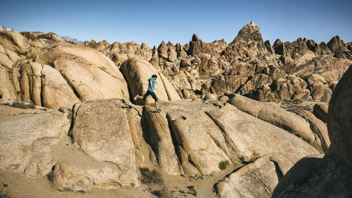 ob_59d35f_ob-d7c5e2-03