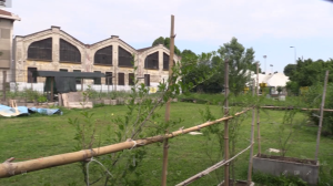 Panoramica degli Orti di via Padova