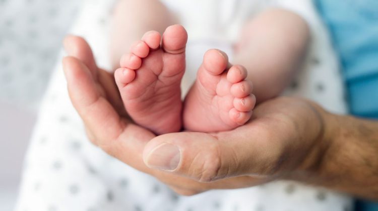 Papa-hanno-bisogno-di-sostegno-950x545