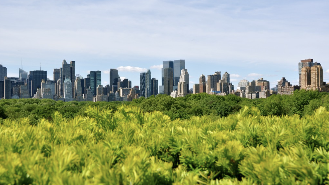 Schermata 2019-12-12 alle 11.16.58