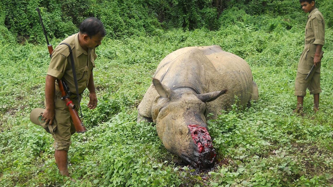 GettyImages-478965476