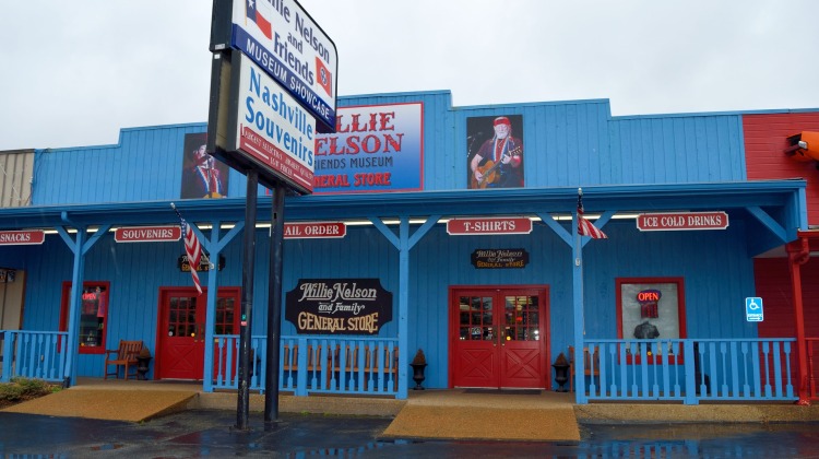 willie-nelson-3262926_1920