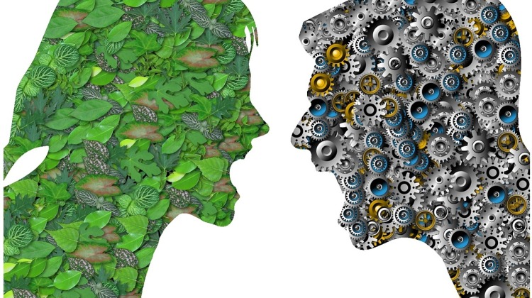 conflict-1445377_1280