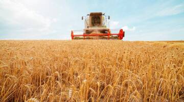 grano-prezzi-alle-stelle-per-la-guerra-in-ucraina-a-rischio-la-fornitura_04436c86-9a2e-11ec-b767-4f88b7d70a6a_1920_1080_v3_xl_16_9