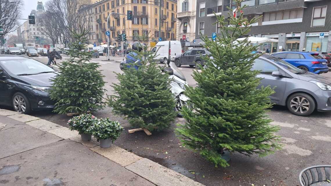 natale Buonarroti 1