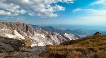 WhatsApp Image 2024-03-21 at 17.38.34