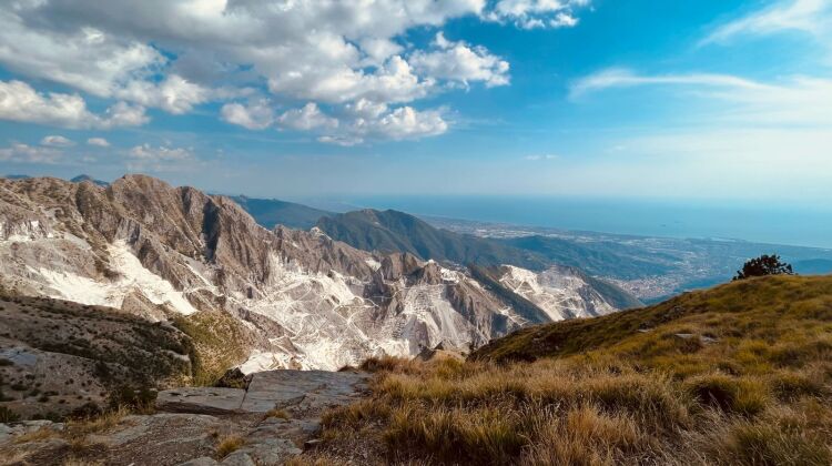 WhatsApp Image 2024-03-21 at 17.38.34