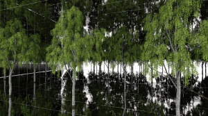 NichelcromLab_Like Trees In The Woods_3