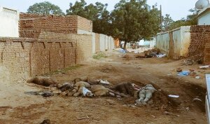 Scattered bodies in El Geneina, 16 Junes 2023