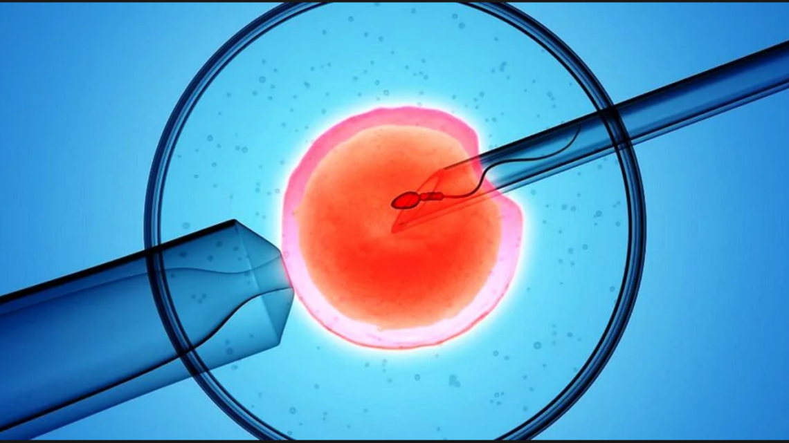 Screen Shot 2024-04-15 at 07.27.25