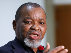 Gwede Mantashe - Fonte: www.businesslive.co.za